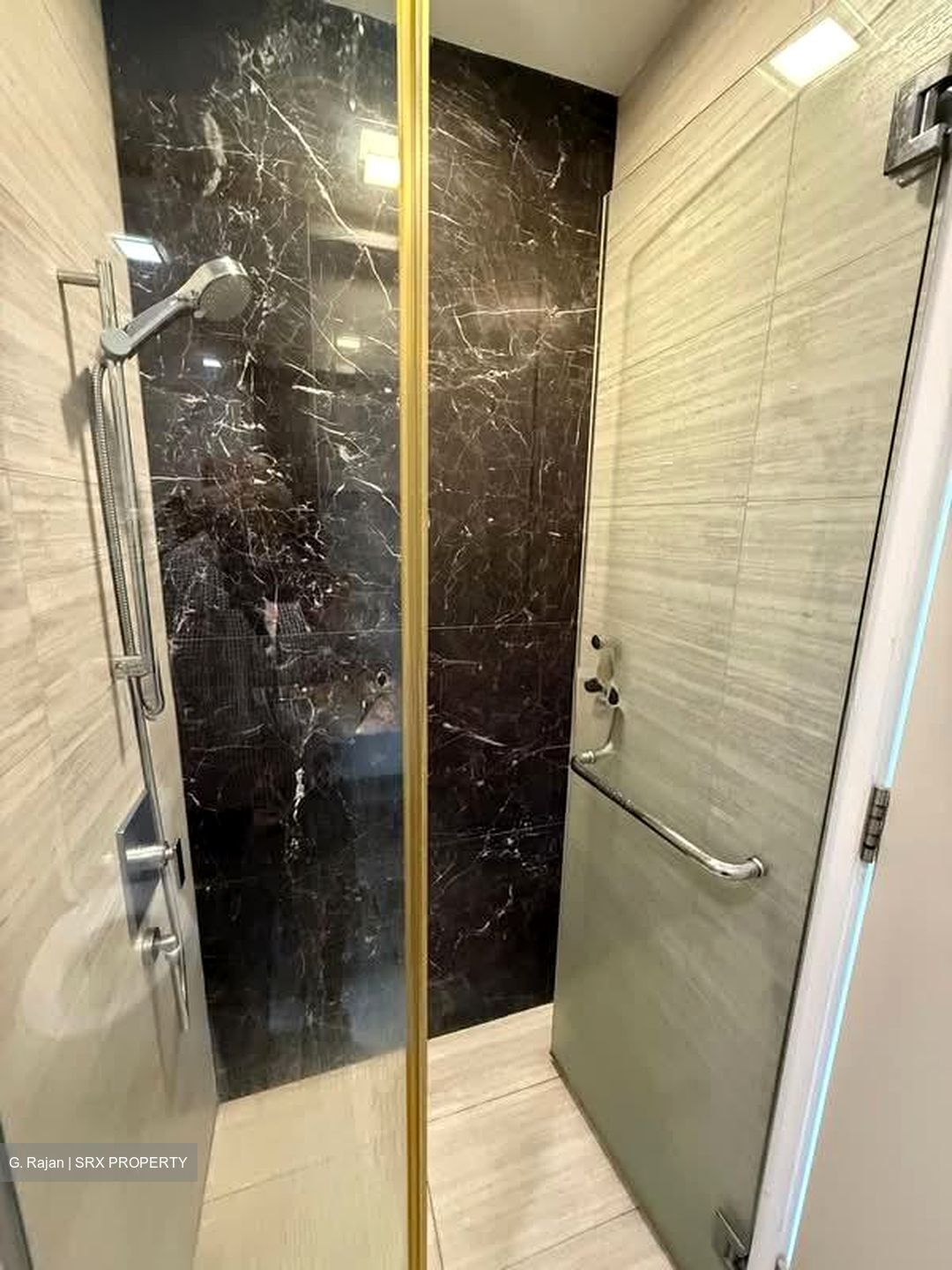 Sky Green (D13), Condominium #585004381